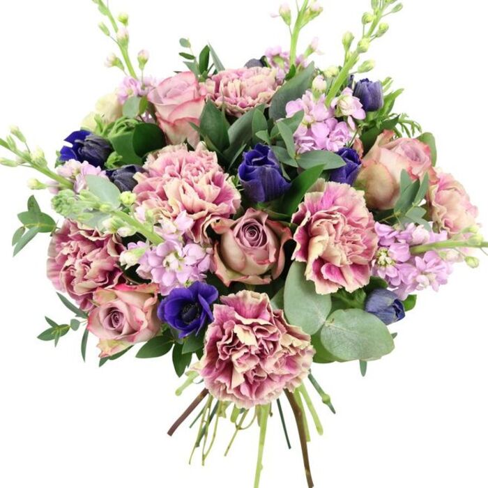 This hand-tied bouquet is shown front and centre against a plain white background, its colours and textures standing out clearly, like a piece of floral art crafted for someone in Petts Wood. The main focus is a cluster of full, open garden roses in shades of blush, dusty rose, and muted mauve, each bloom densely petalled and spiralling from tight centre to softly cupped outer petals. Nestled among them are generous ruffled carnations, their frilly edges creating movement and volume. These carnations display a gentle ombré effect, shifting from creamy beige and pale pink in the centre to deeper rose and fuchsia tones at the tips, adding warmth and dimension. Weaving between the pinks are deep indigo and royal blue flowers, some still in elegant, tapered bud form, offering a rich contrast that makes the softer colours glow. A striking royal blue anemone with a nearly black central disk sits near the base, anchoring the composition with a dramatic focal point. Taller stems of lilac and light lavender stock introduce height, their tiny blossoms clustered along slender stalks, suggesting a delicate fragrance. Surrounding the flowers is a generous collar of foliage: glossy dark green leaves, likely from the rose stems, intermingled with round, silvery eucalyptus sprigs that hint at a cool, refreshing scent, like fresh air after a walk through Willett Recreation Ground. The stems are visible and neatly gathered at the bottom, emphasising the bouquet's freshly cut nature and readiness for delivery to homes around Station Road or Petts Wood's leafy avenues. With its romantic palette and refined structure, this arrangement suits weddings, anniversaries, or spring celebrations held in and around the Petts Wood area.